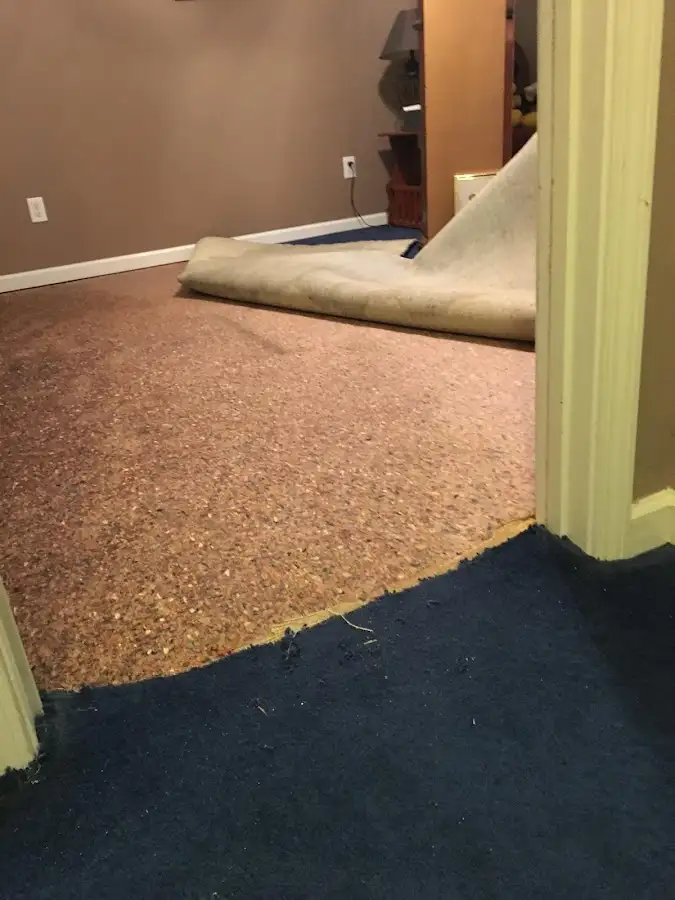 Carpet pad removal revealing water damage during Water Mitigation Services in San Mateo